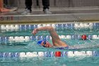 Swimming & Diving vs Babson  Swimming & Diving vs Babson College. - Photo by Keith Nordstrom : Wheaton, Swimming